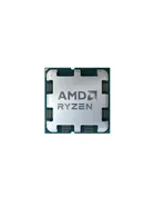 AMD Ryzen 9 7900