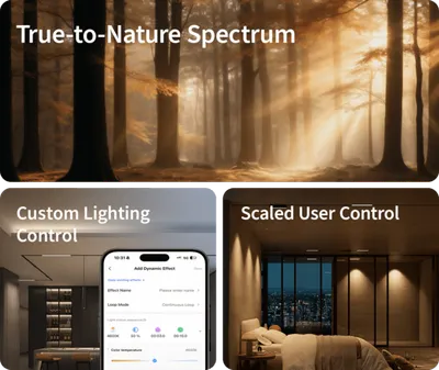 Spotlight V1