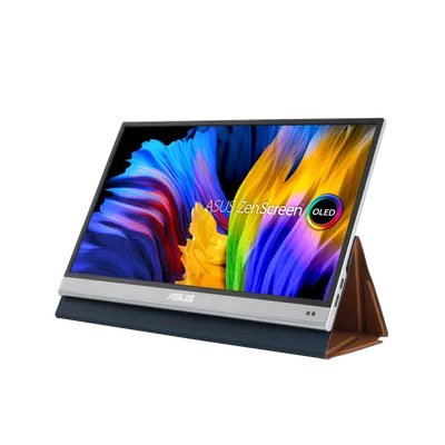 ASUS ZenScreen OLED MQ13AH