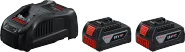 2 x GBA 18V 5.0Ah + GAL 1880 CV