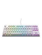 CHERRY XTRFY K4V2 RGB TKL