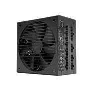 Ion Gold 650W