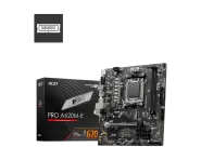 PRO A620M-E