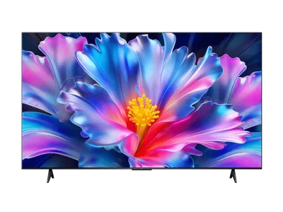 Smart TV 4K P6L (55P6L)